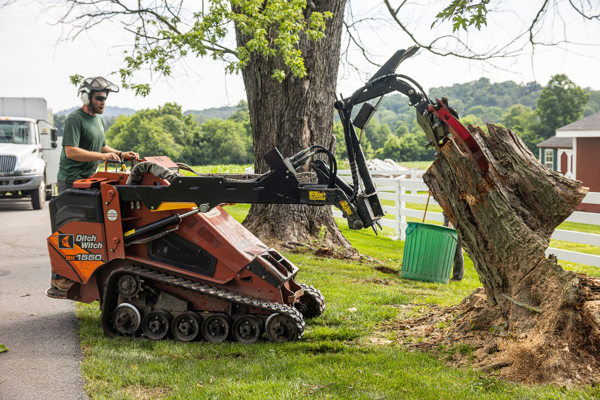 decaying trees being removed
