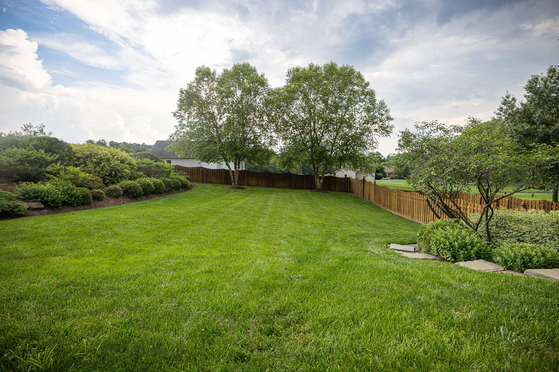Healthy green backyard lawn with shrubs and trees