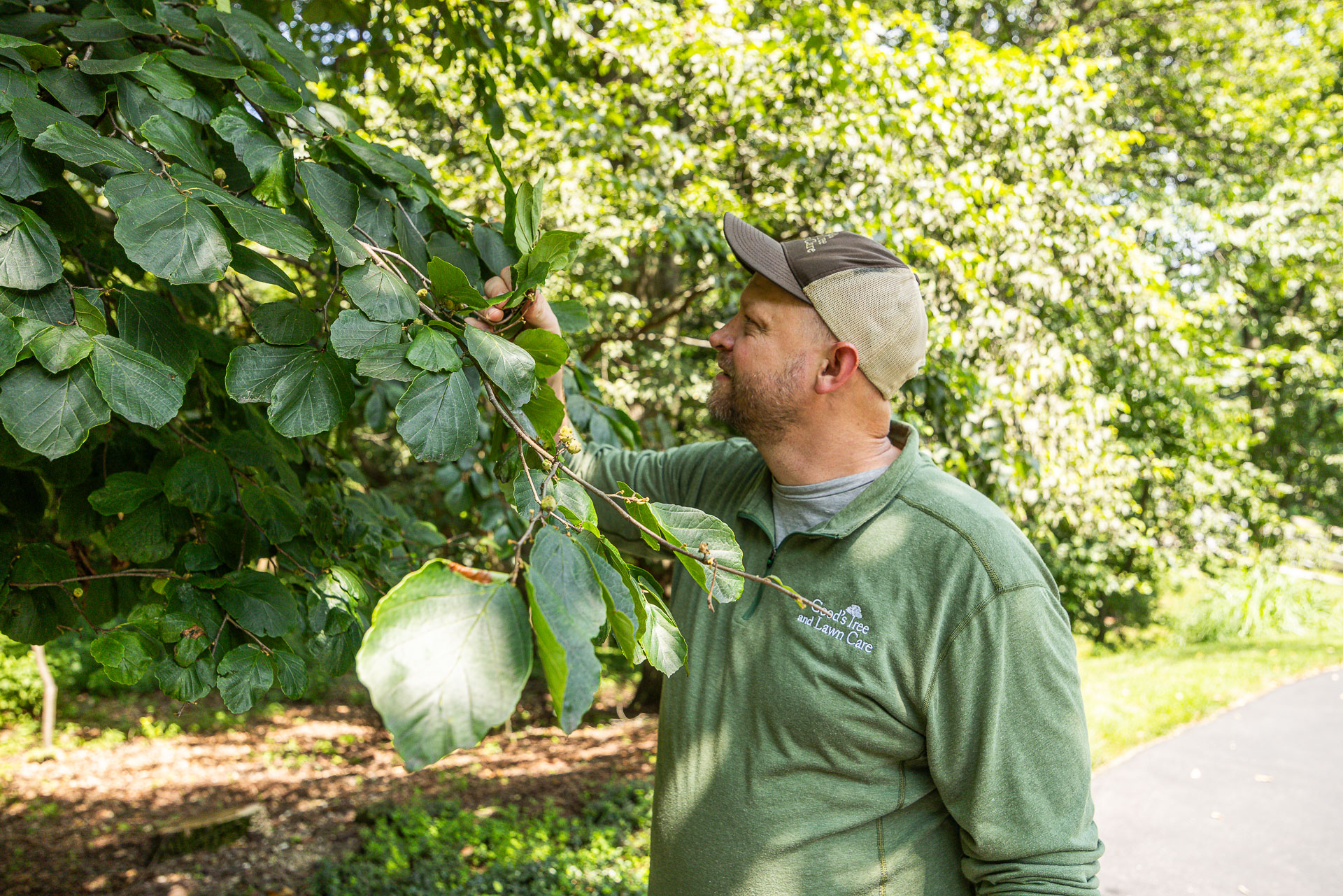 plant care technician inspecting leaves